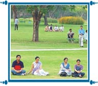 Terraced Flower Garden of Chandigarh